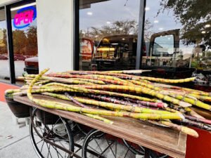 Le’s Baguette (Lò Bánh Mì)